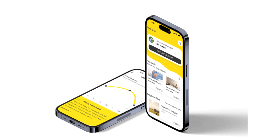 Consultancy, Support & Continuous Improvement image